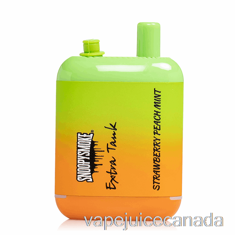 Vape Disposable Canada Snoopy Smoke Extra Tank 2 15000 Disposable Strawberry Peach Mint
